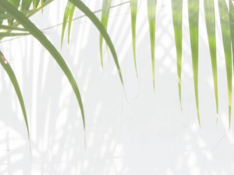 Sukkot
